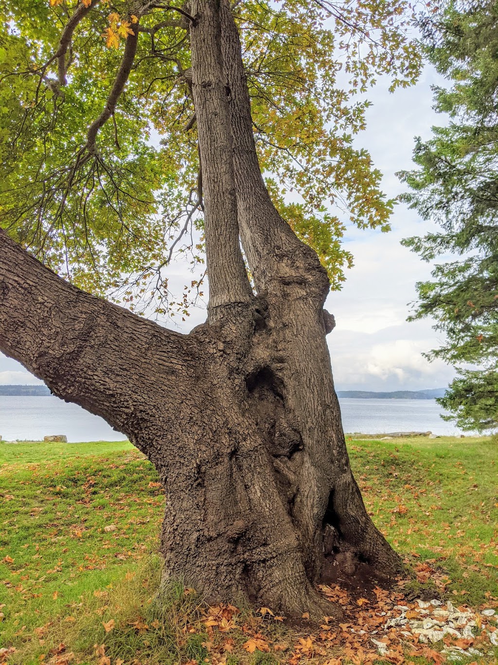 Smelt Bay Provincial Park | Mansons Landing, BC V0P 1K0, Canada | Phone: (250) 308-4479