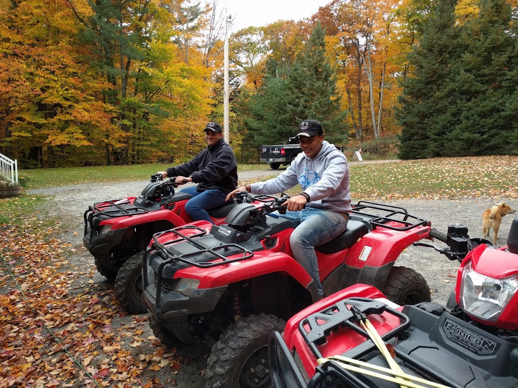Bear Claw ATV Tours | 35 Shoebottom Rd, Seguin, ON P2A 0B2, Canada | Phone: (705) 746-9481