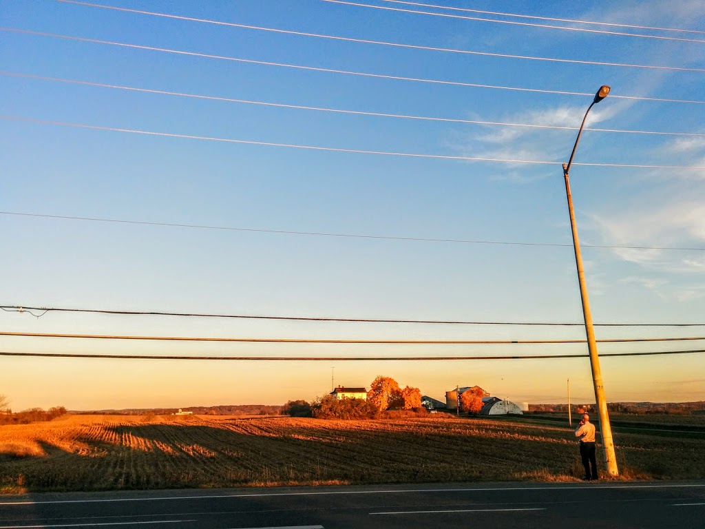Northern Wide Plank | 5930 Lloydtown-Aurora Rd, Schomberg, ON L0G 1T0, Canada | Phone: (877) 763-6169