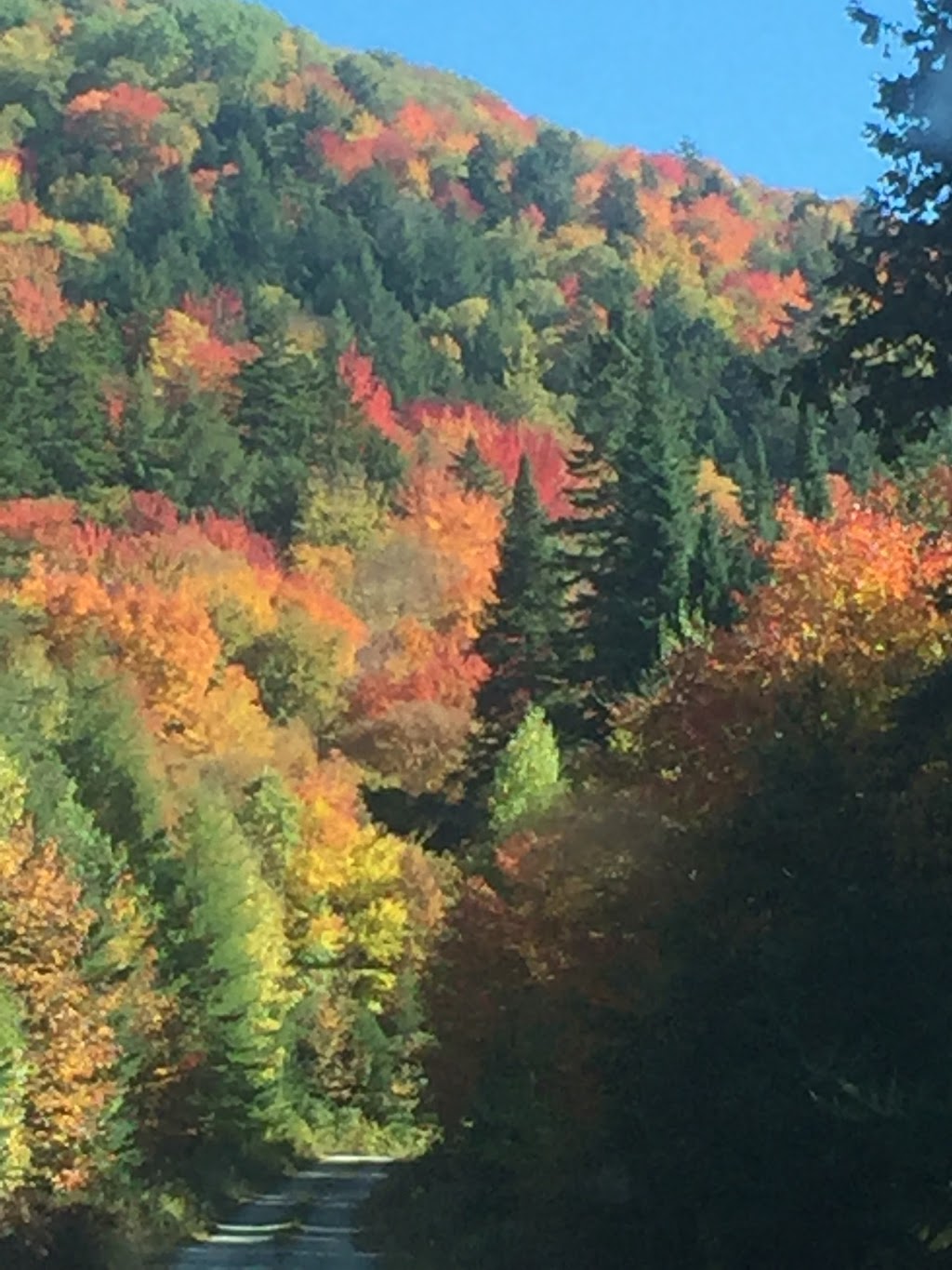 Lake View Store | 4531 VT-114, Norton, VT 05907, USA | Phone: (802) 822-5708