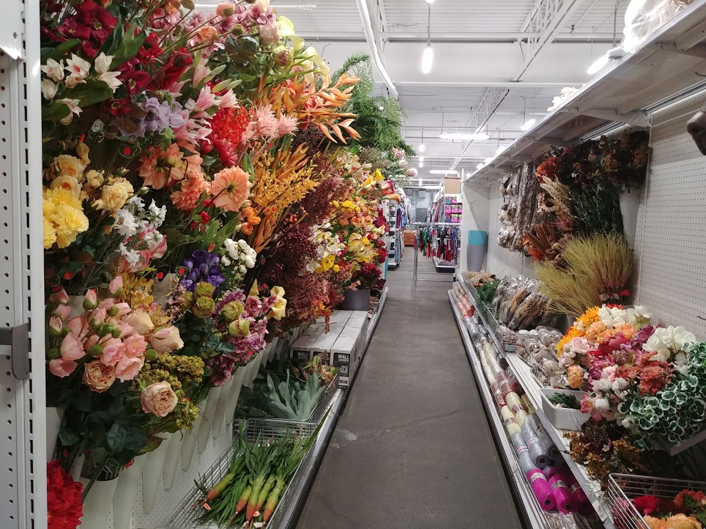 Lens Mill Store | 50 Groh Ave, Cambridge, ON N3C 1Y9, Canada | Phone: (519) 658-8182