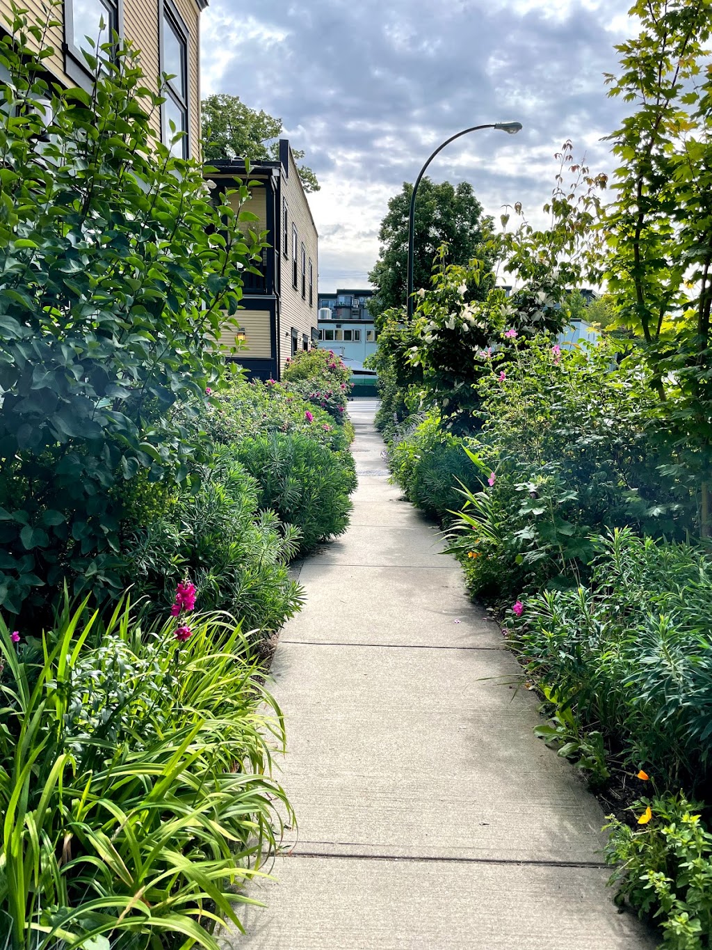 Paper Crane Massage Therapy 2910 Commercial Dr, Vancouver, BC V5N 4C9