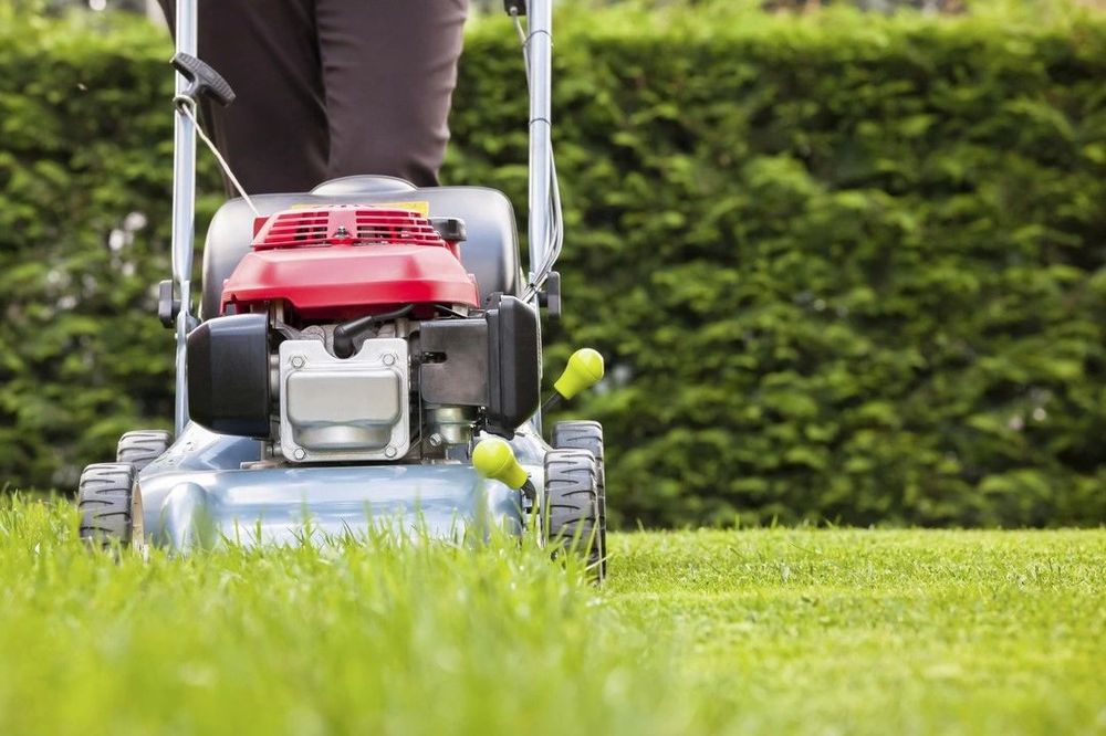 Car-San Gardening Service Ltd | 2450 E 48th Ave, Vancouver, BC V5S 1G4, Canada | Phone: (604) 324-4500