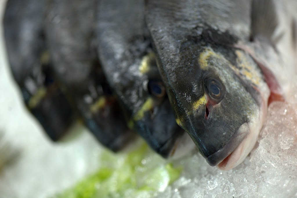 Poissonnerie Québec Océan | 1699 Route de lAéroport, LAncienne-Lorette, QC G2G 2P4, Canada | Phone: (418) 874-7773