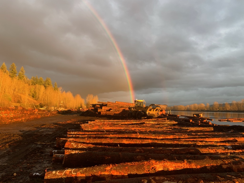 Pioneer Log Sort | 26324 Lougheed Hwy, Maple Ridge, BC V2W 1V9, Canada | Phone: (604) 462-7111