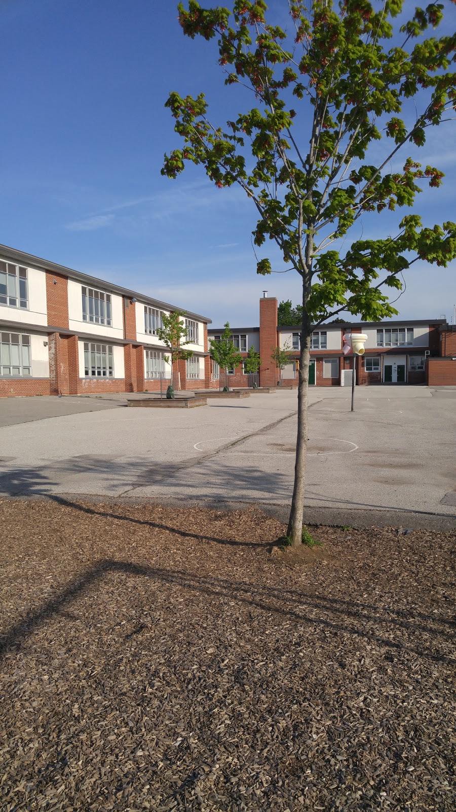 Buchanan Public School | 4 Bucannan Rd, Scarborough, ON M1R 3V3, Canada | Phone: (416) 396-6100
