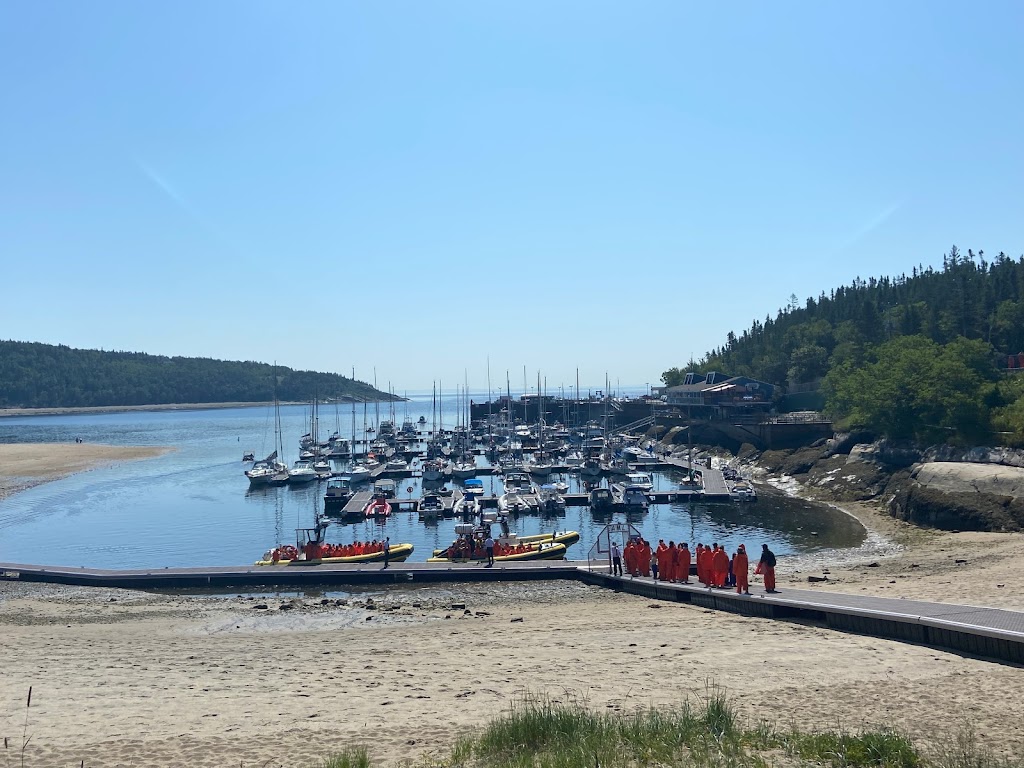 Gare fluviale de Tadoussac | 98 Rue du Bateau Passeur, Tadoussac, QC G0T 2A0, Canada | Phone: (877) 787-7483