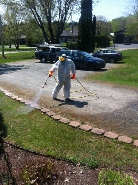 Dexter Extermination | Morin, Mnt Saint-Michel, Shawinigan-Sud, QC G9N 6T5, Canada | Phone: (819) 531-7339