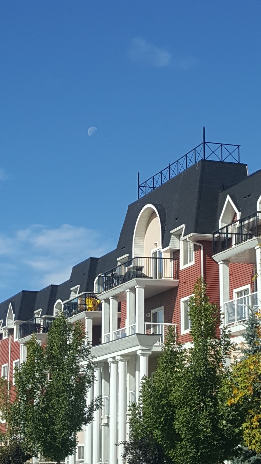 MacEwan Park | 246 Macewan Rd SW, Edmonton, AB T6W 0C5, Canada