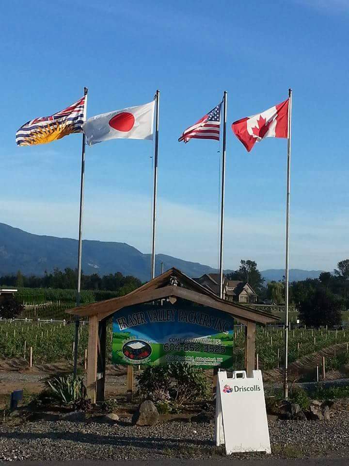 Fraser Valley Packers Inc. | 260 Short Rd, Abbotsford, BC V2S 8A7, Canada | Phone: (604) 852-3525