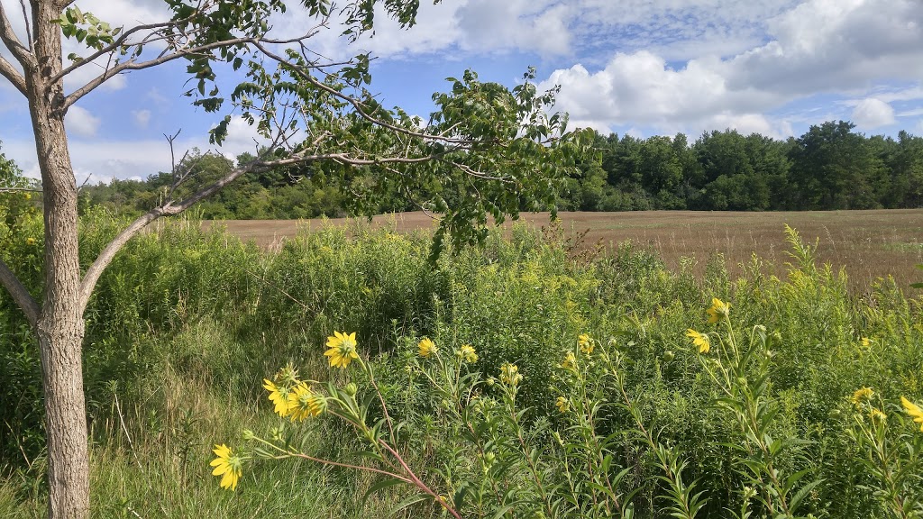 Starkey Hill Conservation Area | 735 Arkell Rd, Puslinch, ON N0B, Canada | Phone: (519) 824-5061