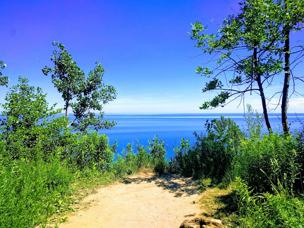 Guild Park and Gardens | 201 Guildwood Pkwy, Scarborough, ON M1E 1P5, Canada | Phone: (416) 392-2489