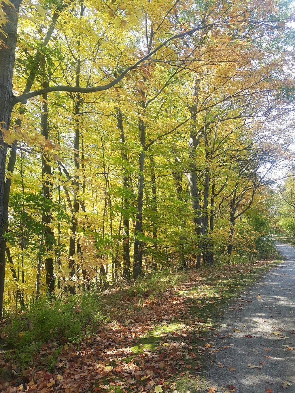 Lions Valley Park | 2417 Fourth Line, Oakville, ON L6H 6W8, Canada | Phone: (905) 845-6601