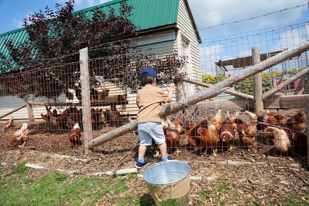 Braggs Wild Bird Seed | 3048 Concession Rd 3, Bowmanville, ON L1C 3K5, Canada | Phone: (905) 623-9198