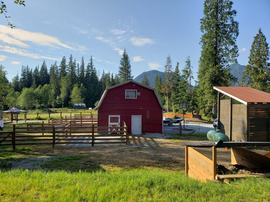Mission Horse Boarding | 14323 Kontney Rd, Mission, BC V2V 0B8, Canada | Phone: (604) 785-7720