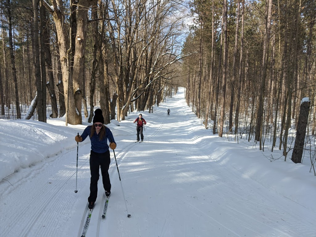Hardwood Ski and Bike | 402 Old Barrie Rd W, Oro-Medonte, ON L0L 2E0, Canada | Phone: (705) 487-3775