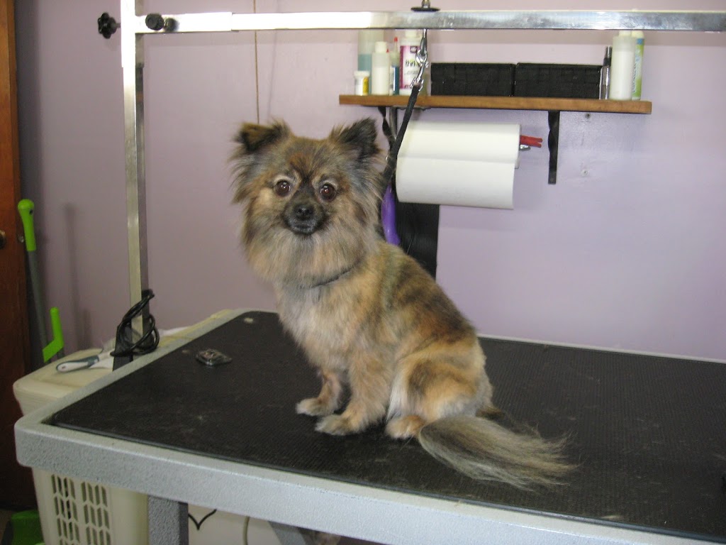 Aux PTits Soins | 191 QC-216, Stoke, QC J0B 3G0, Canada | Phone: (819) 878-3246