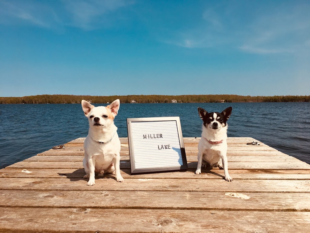 Summerhouse Park Boat Rentals | Northern Bruce Peninsula, ON N0H 1Z0, Canada | Phone: (519) 795-7712