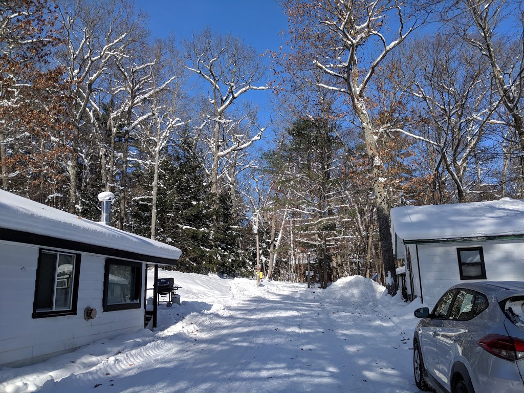 Little Hawk Resort & Marina | 2049 Little Hawk Lake Rd, Algonquin Highlands, ON K0M 1J2, Canada | Phone: (705) 489-2158