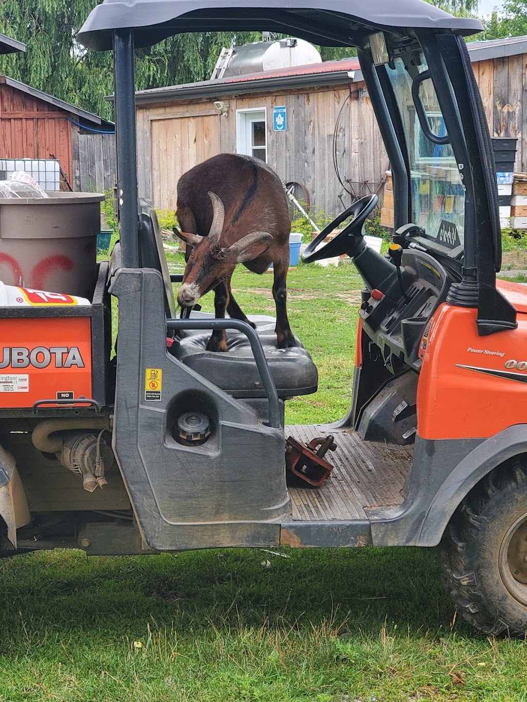 Loha Farms | 153 Lucks Crossroad Prince Edward Loyalist, Prince Edward, ON K0K 2T0, Canada | Phone: (613) 827-5754
