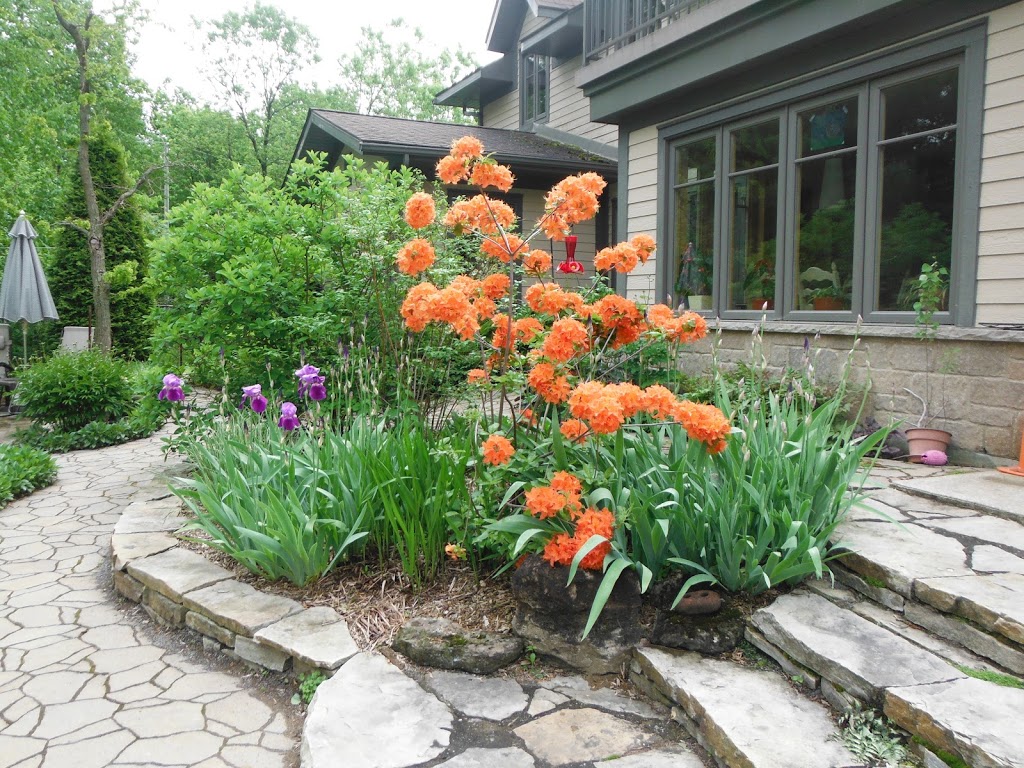 Jardin De Vos Reves | 341 Rue Principale, Saint-Cléophas-de-Brandon, QC J0K 2A0, Canada | Phone: (450) 889-1834