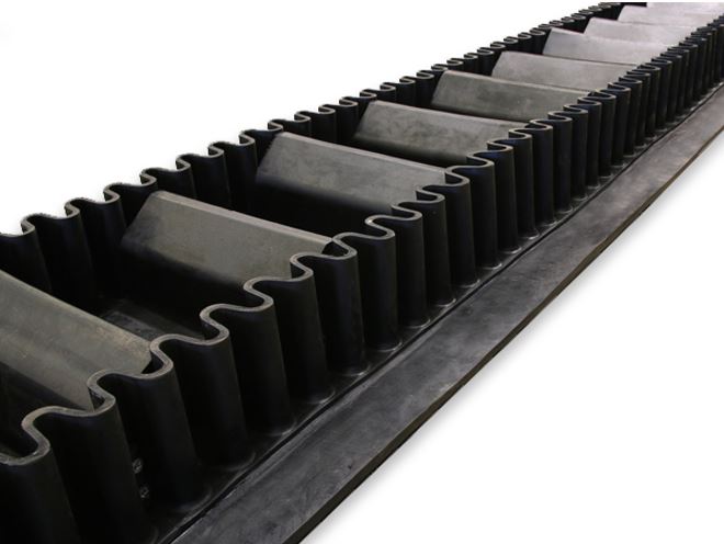 Motion Conveyor | 28 Oldham Ave, Brant, ON N3L 0G7, Canada | Phone: (289) 808-4521