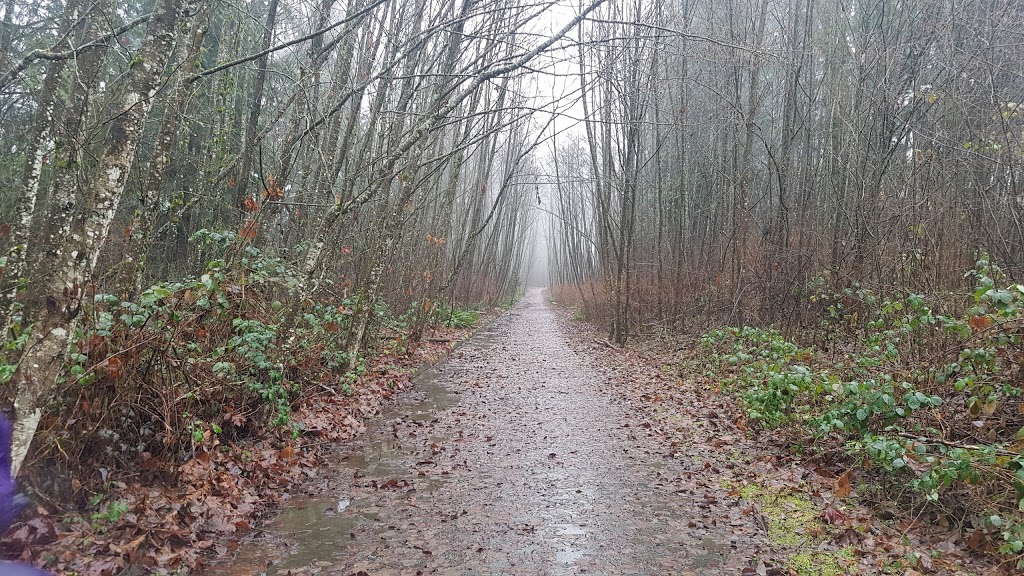 North Slope Buffer Park | Surrey, BC V4N 5E1, Canada