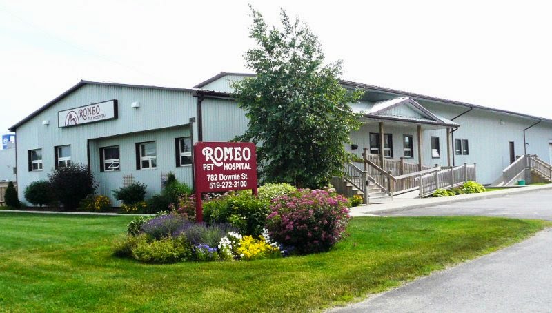 Romeo Pet Hospital | 782 Downie St, Stratford, ON N5A 1Y7, Canada | Phone: (519) 272-2100