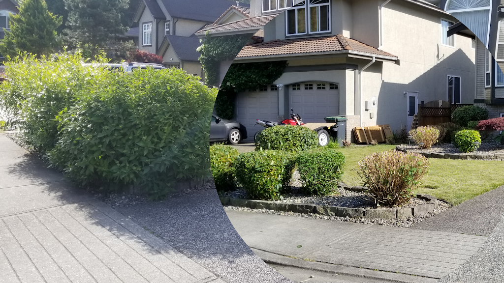 Green Jay Landscaping | 9283 Government St #307, Burnaby, BC V3N 0A5, Canada | Phone: (778) 987-7708