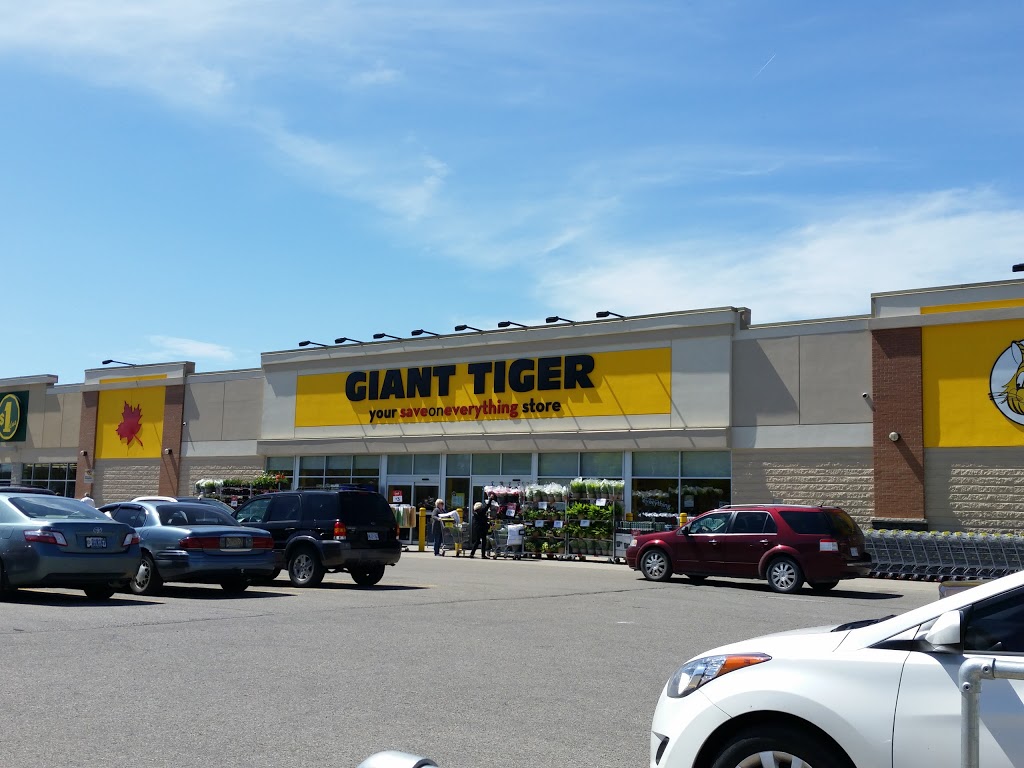 giant-tiger-595-grand-ave-w-chatham-on-n7l-1c5-canada