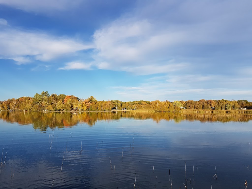 Woodland Camp Site | 209 Allens Rd, Lakehurst, ON K0L 1R0, Canada | Phone: (705) 933-8946