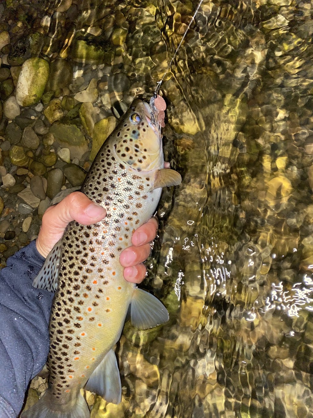 Forbidden Waters Fly Fishing | 70 Copperpond Heath SE, Calgary, AB T2Z 1J3, Canada | Phone: (604) 907-3663