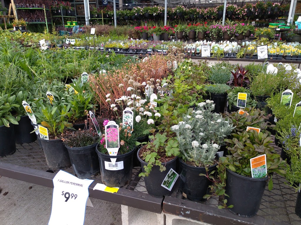 Lowes Home Improvement | 5577 Hazeldean Rd, Stittsville, ON K2S 0P5, Canada | Phone: (613) 836-3971