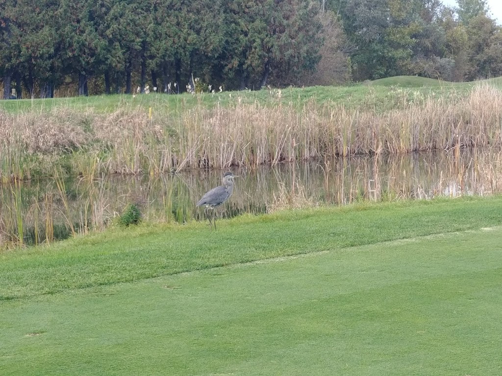 Shawneeki Golf Club | 18543 Woodbine Ave, Sharon, ON L0G 1V0, Canada | Phone: (905) 478-4211