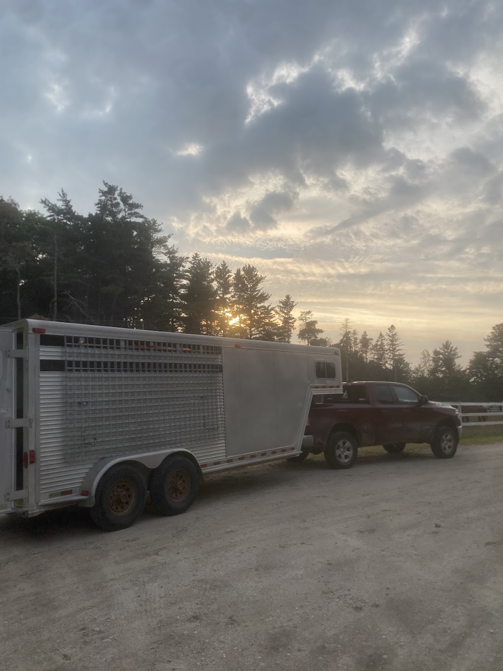 ABC Equestrian | 524239 Curry Rd, Ingersoll, ON N5C 3J8, Canada | Phone: (519) 709-1439