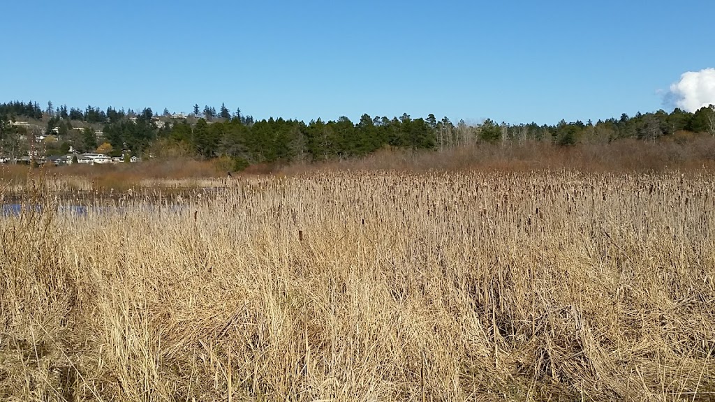 Rithets Bog Park | Saanich, BC V8X 5G6, Canada