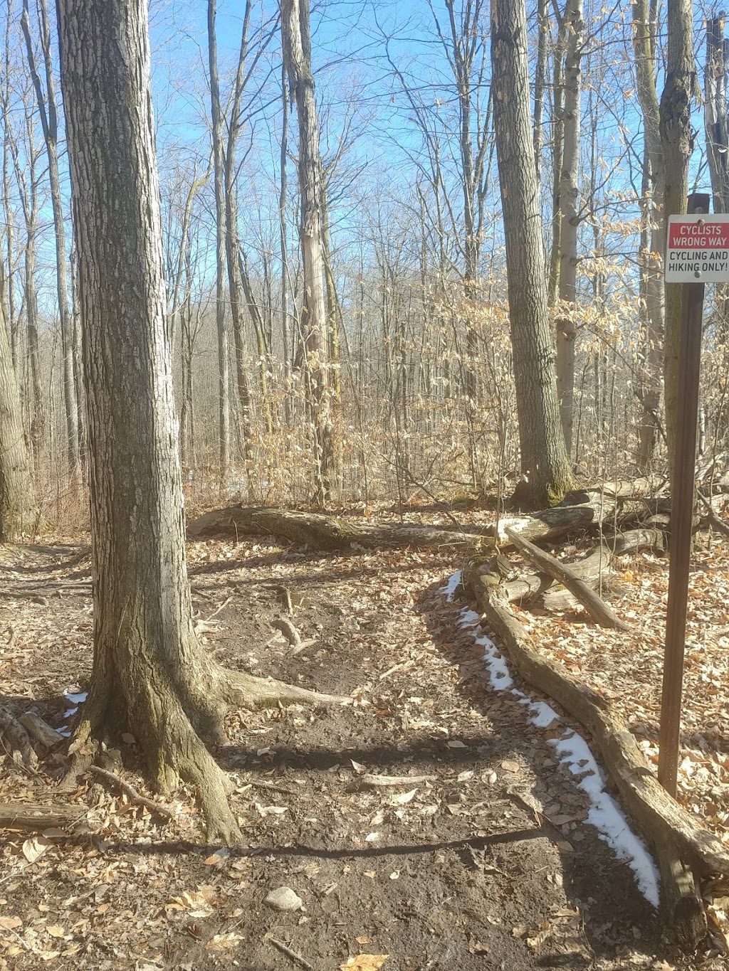 Hydrocut - Glasgow Parking | Kaitlyns, Kaitlyns Switchbacks, Waterloo, ON N2J 3Z4, Canada
