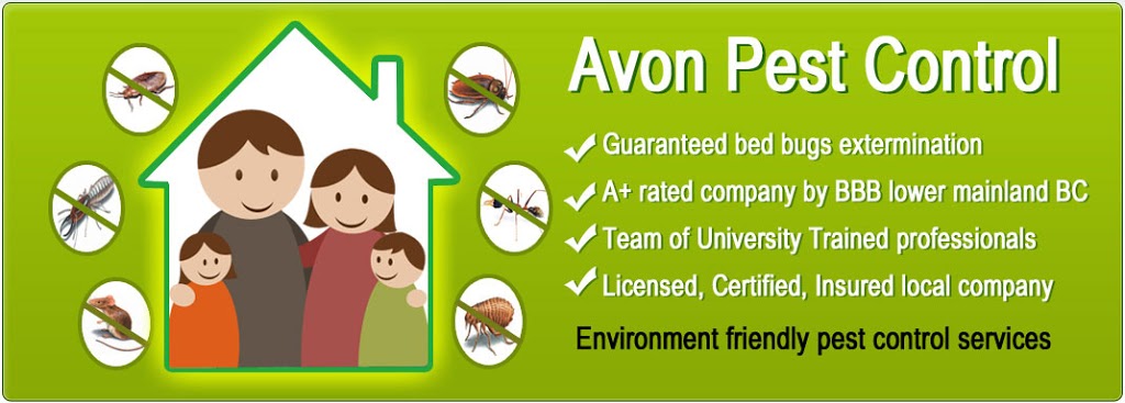 Avon Pest Control Vancouver | 650 Princess Ave, Vancouver, BC V6A 3E1, Canada | Phone: (604) 805-0278