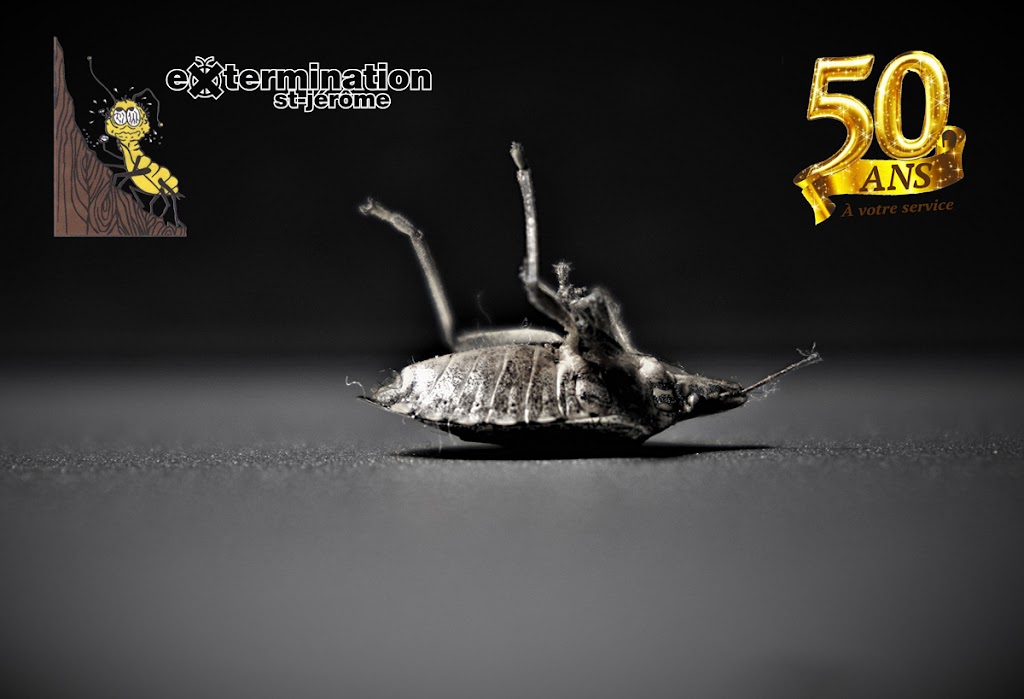 Extermination St-Jérôme inc. | 95 119e Av, Saint-Jérôme, QC J7Y 1A1, Canada | Phone: (450) 436-1779
