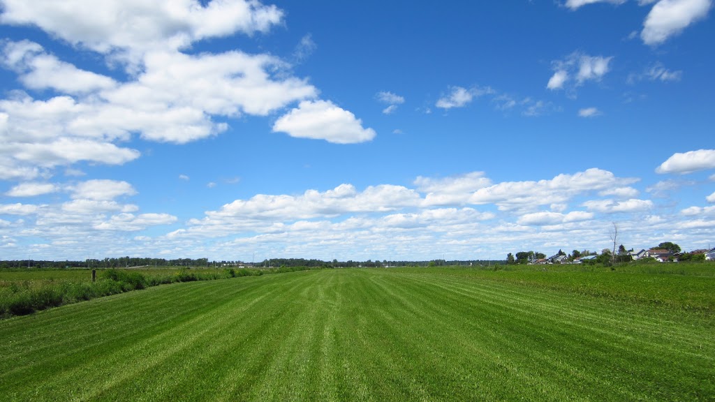 À Vol Doiseau École De Pilotage Et Tour Davion Autogire Et Ult | 200 Rue Georges, Terrebonne, QC J6V 1B8, Canada | Phone: (438) 829-3003
