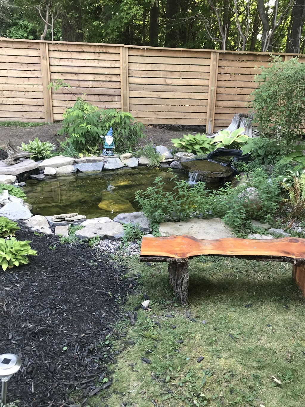Ottawa Valley Ponds | 308 Almonte St, Almonte, ON K0A 1A0, Canada | Phone: (613) 889-4240