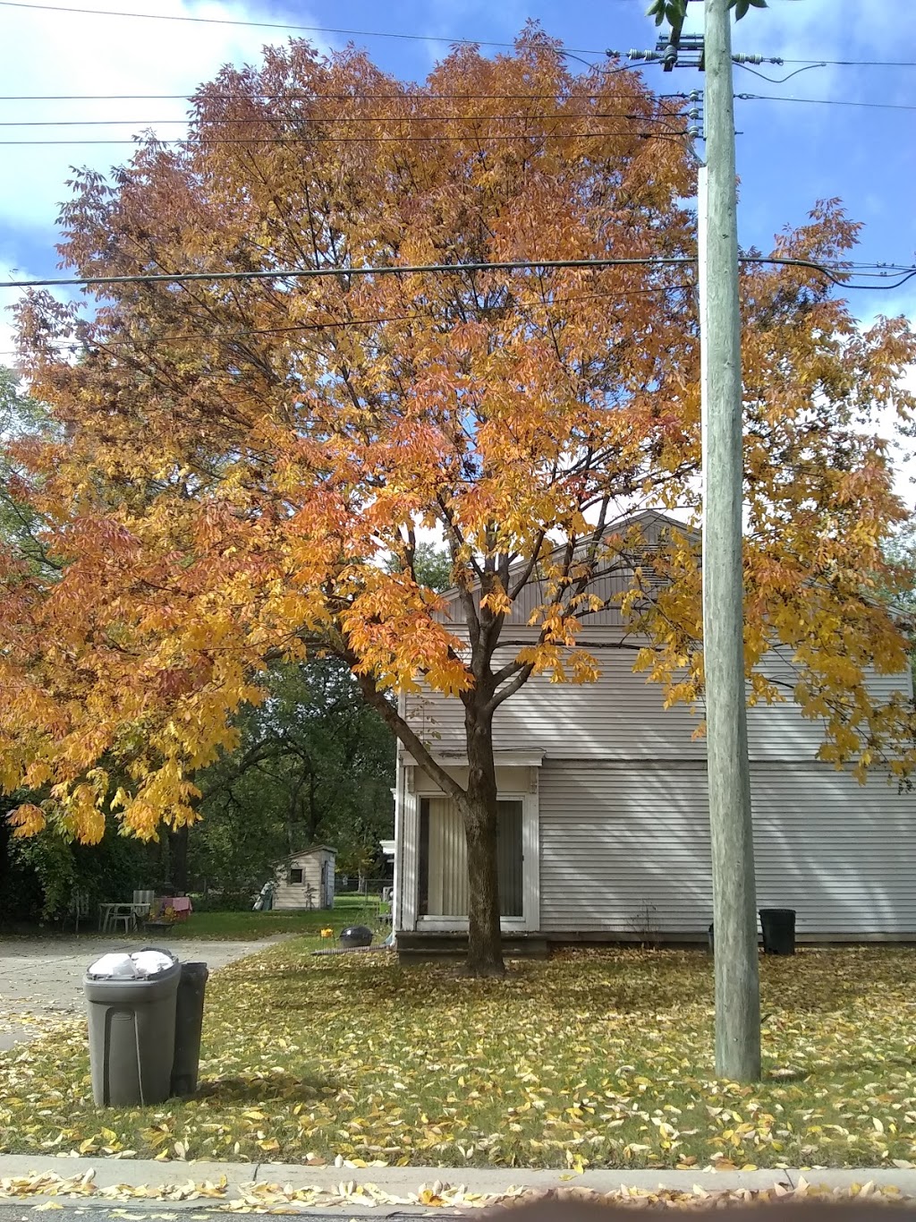 Port Huron Baptist Church | 1501 Court St, Port Huron, MI 48060, USA | Phone: (810) 985-5991
