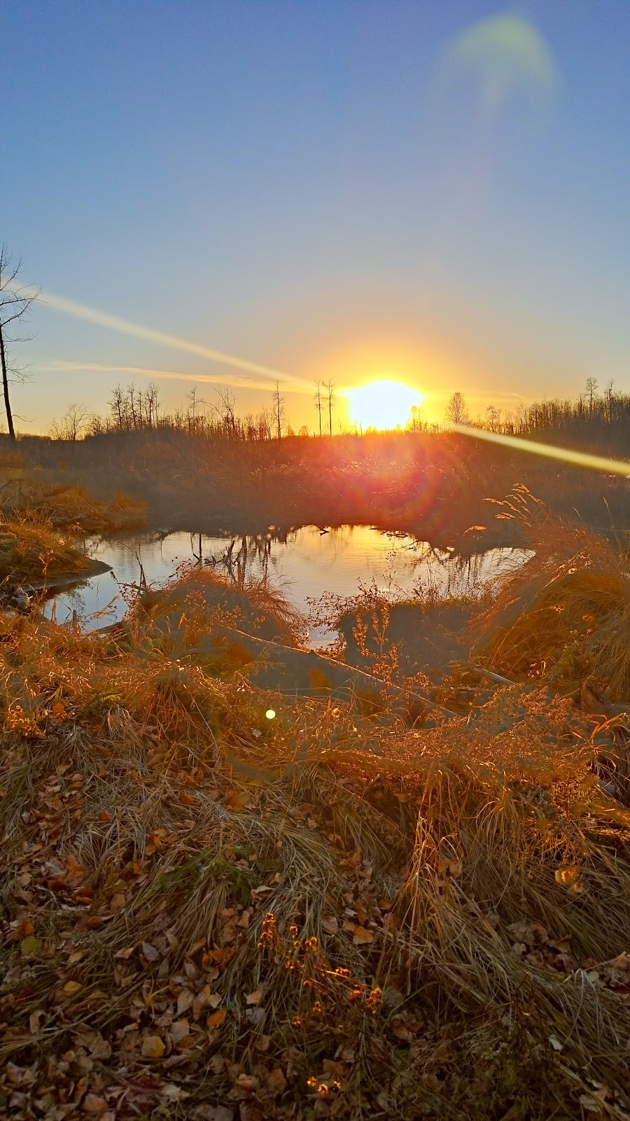Cooking Lake-Blackfoot Provincial Recreation Area | Beaver County, AB T8G 1G2, Canada
