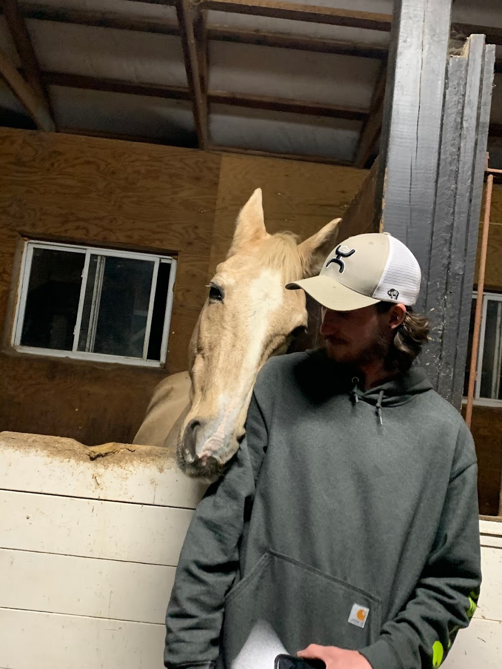 Double M Stables | 4002 ON-6, Puslinch, ON N0B 2J0, Canada | Phone: (226) 748-7682