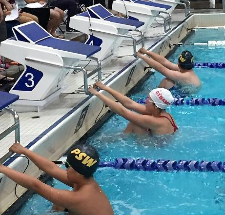 Dynamo Swim Club | 3702 Kensington Ave, Burnaby, BC V5B 4Z6, Canada | Phone: (778) 866-6604