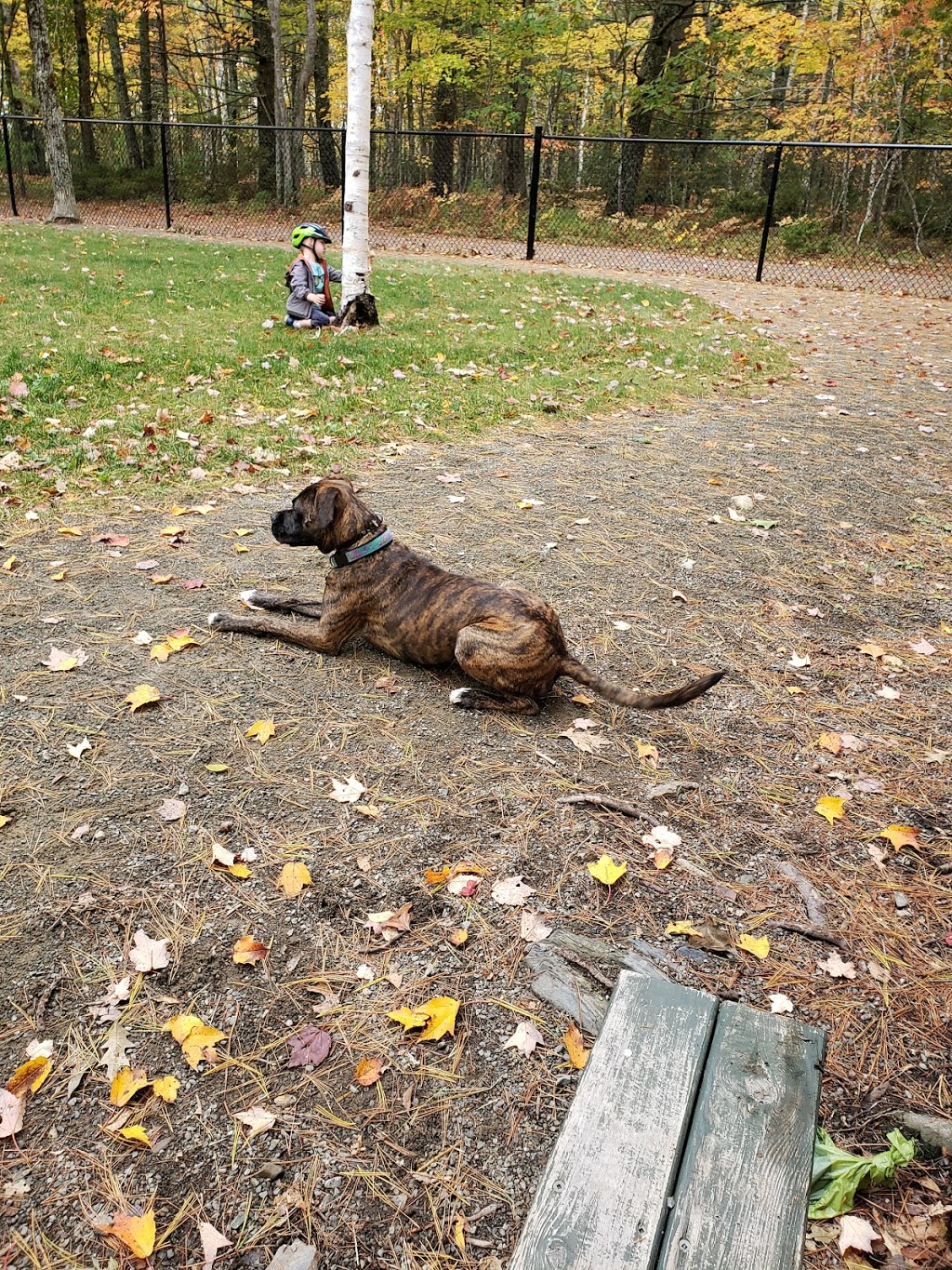 South Shore Vet Dog Park | 543 Glen Allan Dr, Bridgewater, NS B4V 0A8, Canada | Phone: (902) 543-4651
