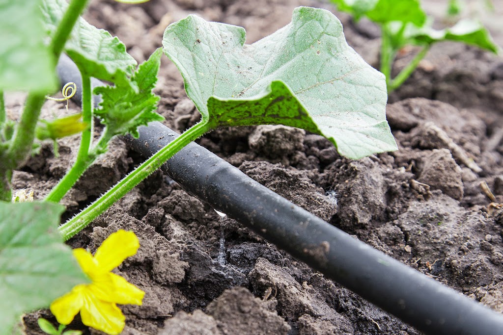 Vanden Bussche Irrigation | 2515 Pine Grove Rd, Delhi, ON N4B 2X1, Canada | Phone: (519) 582-2380