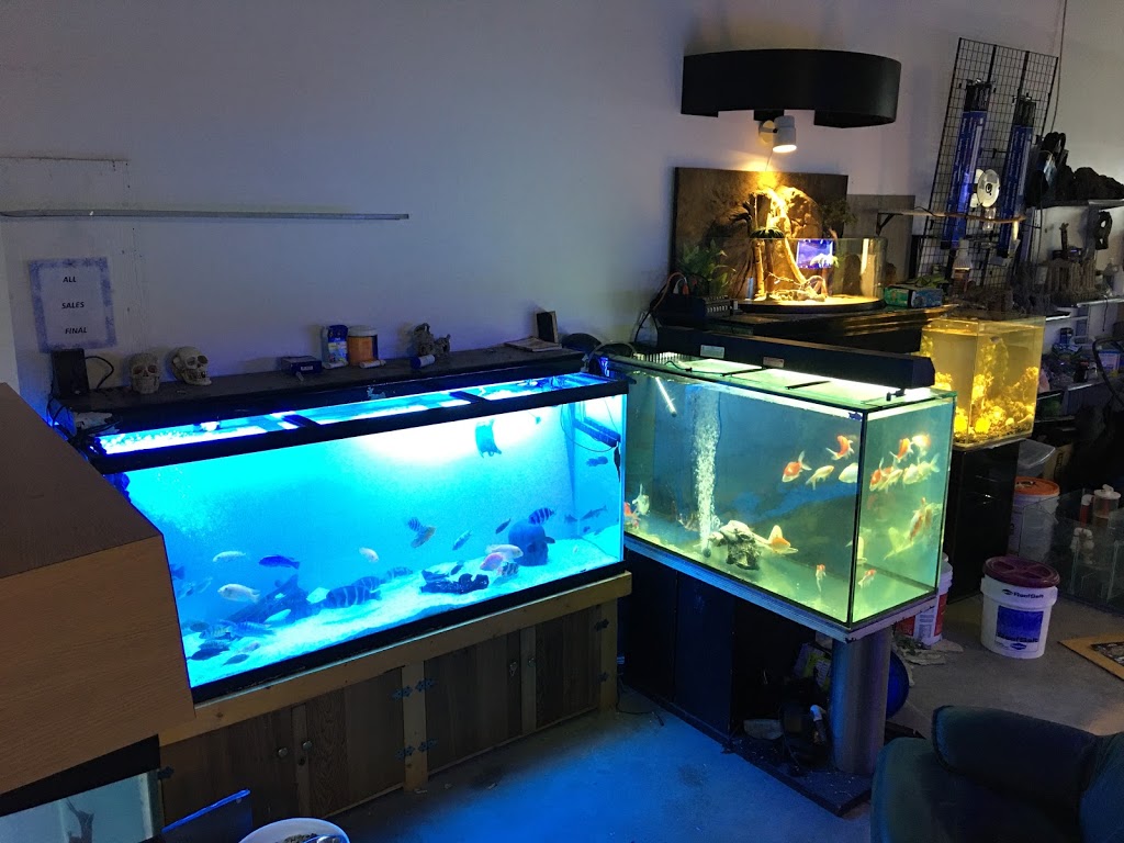 FishGuys Calgary | 12180 44 St SE Slip 10, Calgary, AB T2Z 4A2, Canada | Phone: (587) 429-3494