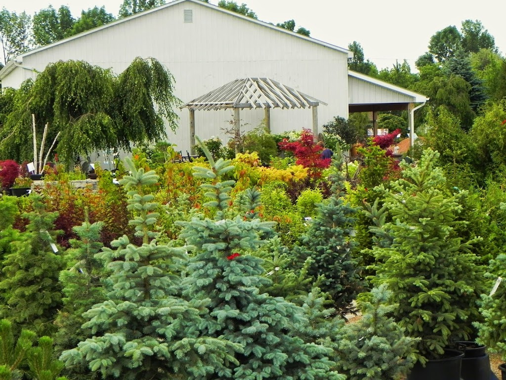Lakewood Garden Centre Ltd | 72856 Bluewater Hwy, Zurich, ON N0M 2T0, Canada | Phone: (519) 236-4479