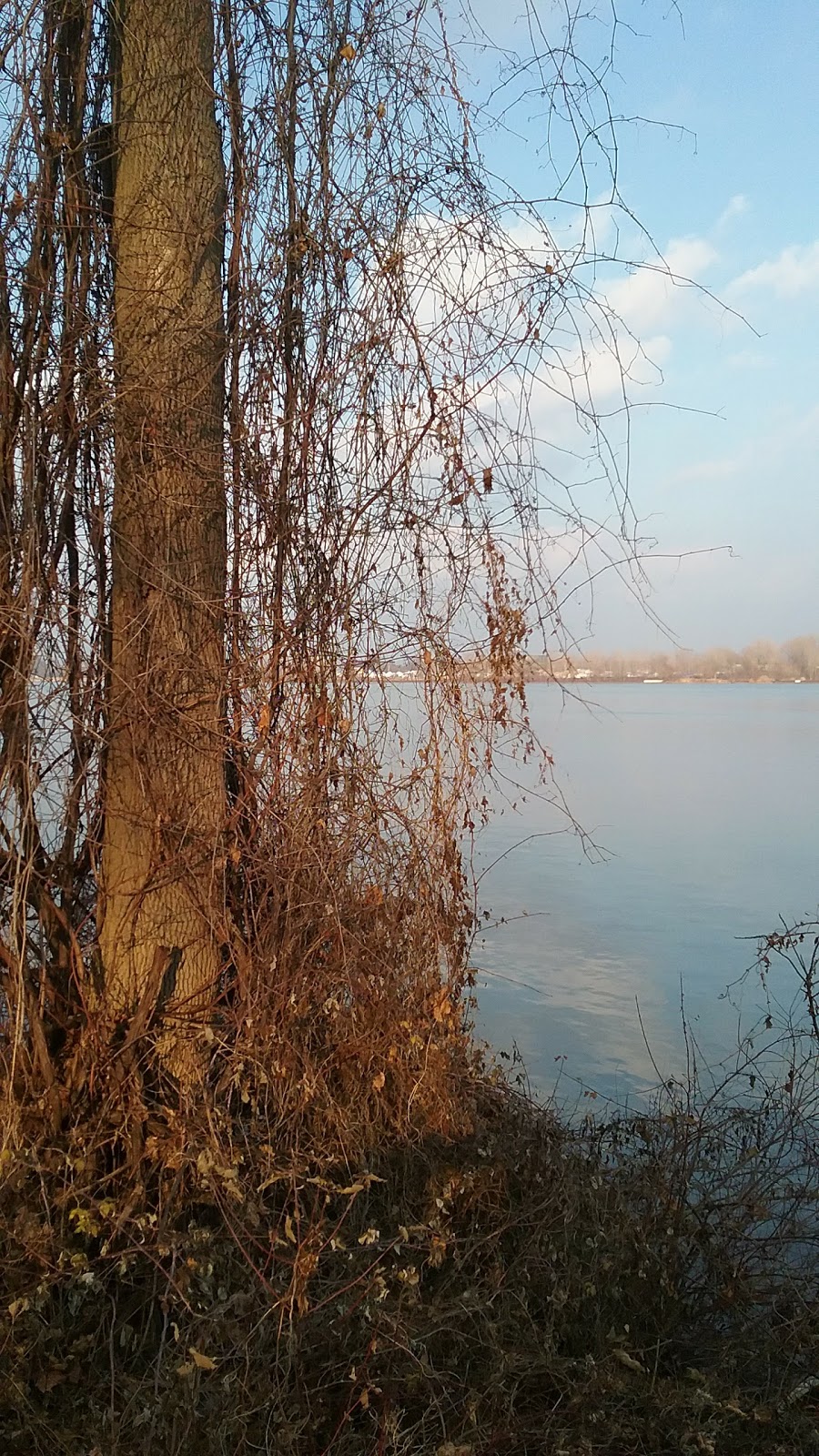 Spicer Creek Wildlife Preserve | 3071-3219 E River Rd, Grand Island, NY 14072, USA